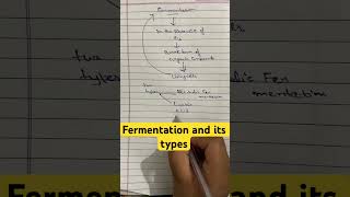 what is fermentation  types of fermentation viralshort ytshorts viral [upl. by Akemak]