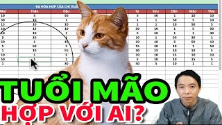 Tuổi MÃO tuổi MÈO hợp với ai KẾT HỢP LÀM ĂN  KẾT HÔN  SINH CON hợp tuổi nào [upl. by Eelaras]