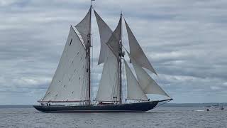 Schooner Pegasus Summer 2022 [upl. by Rodmann]