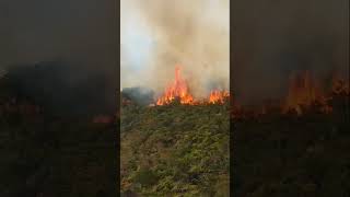 Incendios forestales en Sudamérica🔥🏞😔 amazonas incendio [upl. by Lamson]