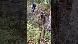 Local trail is improving 🥳 mtb airtime [upl. by Brine]