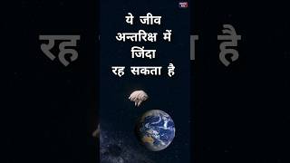 ये जीव अन्तरिक्ष में भी जिंदा रह सकता है। 😱 4space [upl. by Noellyn]