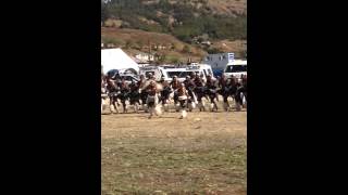 Sibayeni Sobuciko Traditional Group at Amahlubi in Memory of King Langalibalele 1 [upl. by Lydia423]