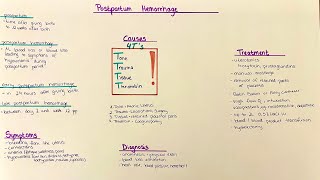 Postpartum Hemorrhage  Diagnosis Causes Treatment Complications [upl. by Urba373]