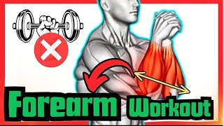 Ultimate Forearm Workouts For Grip Strength [upl. by Asillim]