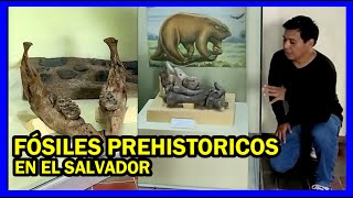 Fósiles prehistóricos en El Salvador Museo de historia natural [upl. by Kryska]