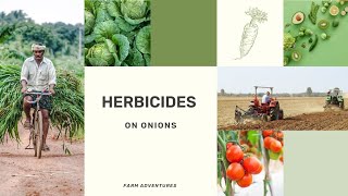 SELECTIVE HERBICIDES ON ONIONS [upl. by Cirenoj978]