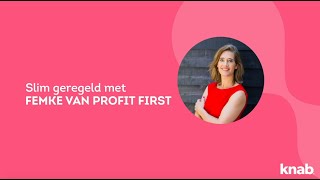 Zzp tip  Zo bereken je inkomstenbelasting  Femke Hogema van Profit First [upl. by Ynohtnad659]