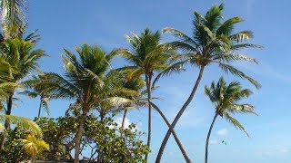 IviaggidiGianampMery  CARAIBI 2018  GUADALUPE  SAINT LUCIA  BARBADOS [upl. by Nirek]