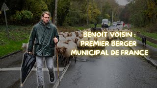 Transhumance 2024 Épisode 2  Benoit Voisin berger municipal depuis 20 ans à Évreux [upl. by Ackerman]