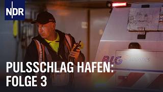 Hafentaucher und Hackbraten E03  Pulsschlag Hafen  NDR Doku [upl. by Annahsed326]