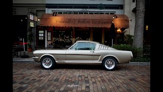 Revology Car Review  1965 Mustang GT 22 Fastback in Harvest Gold Metallic [upl. by Adnauq]