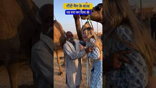 बाबा को लीवा पसंद आ गई शादी करेंगी pushkar pushkarfair pushkarmela [upl. by Oslec]