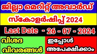 District Merit Scholarship 202324Apply Now Documents Full Details [upl. by Issirk]