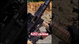 A257 carbinegunshort gunshortvideo shoot shorts military [upl. by Aicen]