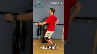 Hip Pain Rehabilitationa Addressing Dynamic LumbopelvicHip Girdle Stability  Phase 2 [upl. by Ppik]