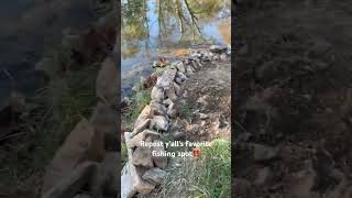 fallfish octobervibes shortvideo fishinggear earthoutdoors respectnature fishingequipment [upl. by Artkele]