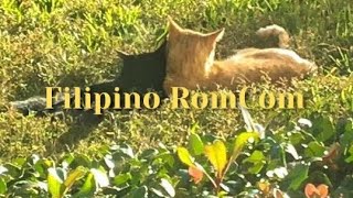 POV Youre in a Filipino RomCom ✧  OPM Playlist [upl. by Hoenack]