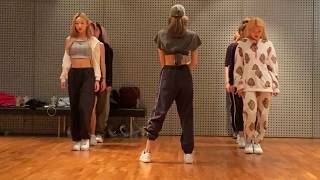 MIRRORED amp ZOOMED DANCE PRACTICE LISA BLACKPINK  SENORITA DANCE PRACTICE [upl. by Aggappe]