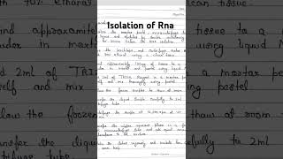 Isolation of RNA  extraction practical  RNA isolation mlt easy practical notes [upl. by Russi]