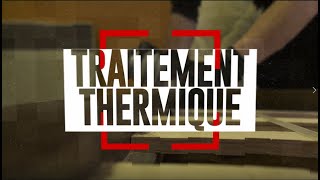 Traitement thermique de la punaise de lit  Solution Cimex [upl. by Ecirtra479]