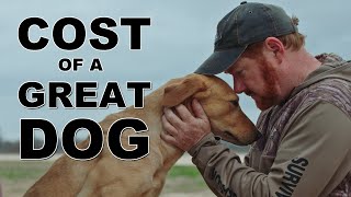 Losing Your Hunting Dog  How to Start Again [upl. by Nylyram]