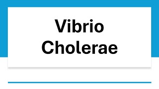 Vibrio Cholerae [upl. by Stilwell]