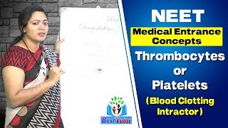 NEET Medical Entrance Concepts  Platelets or Thrombocytes  Best Tutor [upl. by Eiznyl]