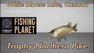 Fishing Planet Trophy Northern Pike White Moose Lake Canada [upl. by Seditsira]