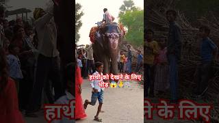 PyarKarimakaikedikkat hoHindisongmusicfunny elephantfunnyanimalfunnybhai support❤️🙏🐘 [upl. by Kenlay]