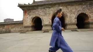 Wu Dang Tai Yi Wu Xing Quan太乙五行拳 [upl. by Roshelle]