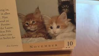 Das ist der beste Katzenkalender [upl. by Obellia]