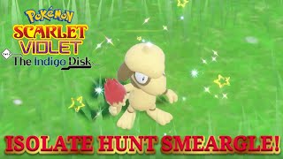 How To EASILY Shiny Hunt Tyrogue In Pokemon Scarlet and Violet the Indigo Disk [upl. by Anauqed]