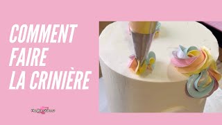 GÂTEAU LICORNE comment le décorer à la Poche à Douille et comment faire la Crème Multicolore [upl. by Letnwahs]