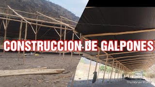 CONSTRUCCION DE UN GALPON AVICOLA DE 10 MIL POLLOS EN ABANCAY  detalle de la infraestructura [upl. by Rolf]