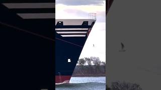 the seapike vessel foryou ship boat viralvideo tugboat sailing navyship watercraft sailo [upl. by Chatav]