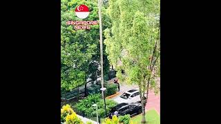 Foodpanda rider vs condo security guard fighting at Bukit Timah condo in Singapore [upl. by Ran]