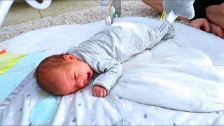 Newborns First Tummy Time Adorable Reaction [upl. by Imerej472]