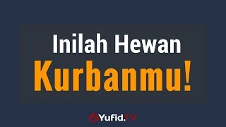 Inilah Hewan Kurbanmu  Poster Dakwah Yufid TV [upl. by Cowley]