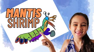 Homeschool Science Creature Feature  Mantis Shrimp  FilAmstagram  Thailand [upl. by Keyes]