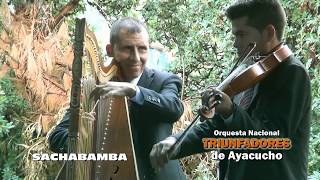 ORQUESTA LOS TRIUNFADORES DE AYACUCHO en sachabamba 2019 [upl. by Ariaes33]