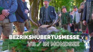 Bezirkshubertusmesse Vöcklabruck 2024 in Mondsee [upl. by Yadsnil905]