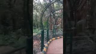 Bulls temple  Bangalore travel  park relaxationtime kids video entertainmentvideo entertainm [upl. by Nosemaj]