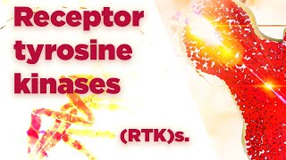 Receptor tyrosine kinases  RTKs  Cell Signaling [upl. by Regnij]