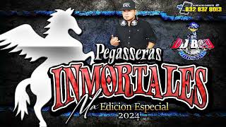 ESTRENO  Pegassera Inmortales Mix Vol9 Enero 2024  Dj Boy Houston El Original [upl. by Starinsky]