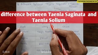 difference between taenia saginata and taenia solium l microbiology parasitology [upl. by Maxy493]