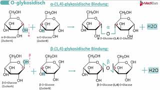 Glykosidische Bindungen [upl. by Harper]