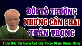 Cuộc Đời Là Vô Thường Nhưng Cần Phải Được Trân Quý  Bài giảng Cha Phạm Quang Hồng [upl. by Eelyah]