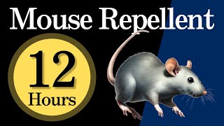 12h Mouse Repellent Noise Play while sleeping or when you are out to repel mice [upl. by Erminie]