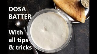 DOSA BATTER RECIPE  HOW TO MAKE DOSA BATTER  HOME with tips and tricks [upl. by Tymothy885]